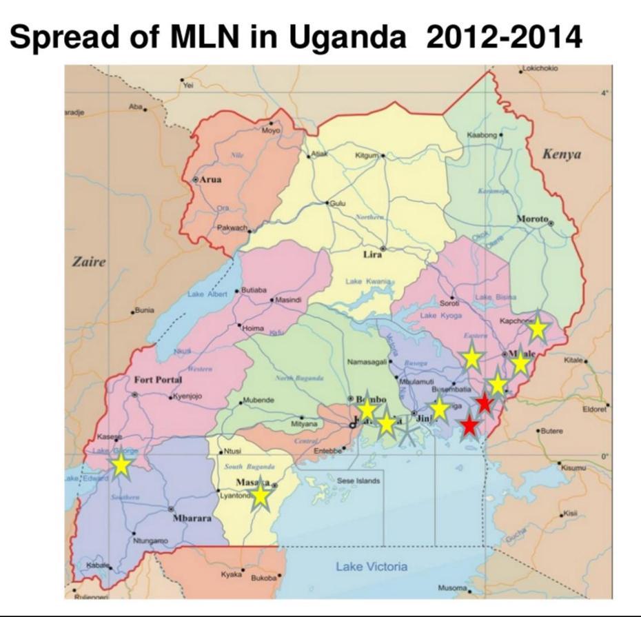 Karamoja Uganda, Jinja Uganda, Mln Distribution, Budaka, Uganda