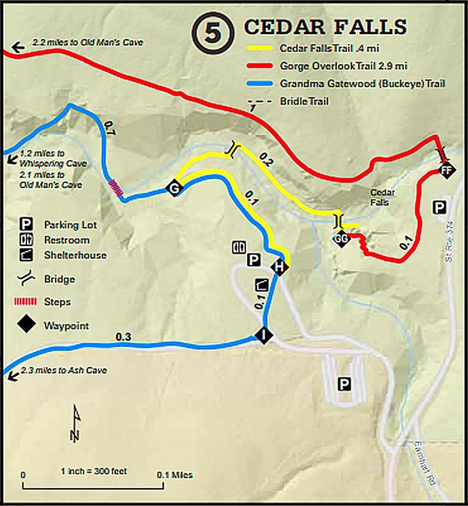 Cedar Falls Blog For Hiking – Dustyblues Gallery Blog, Cedar Falls, United States, Cedar Junction, Cedar Falls Washington