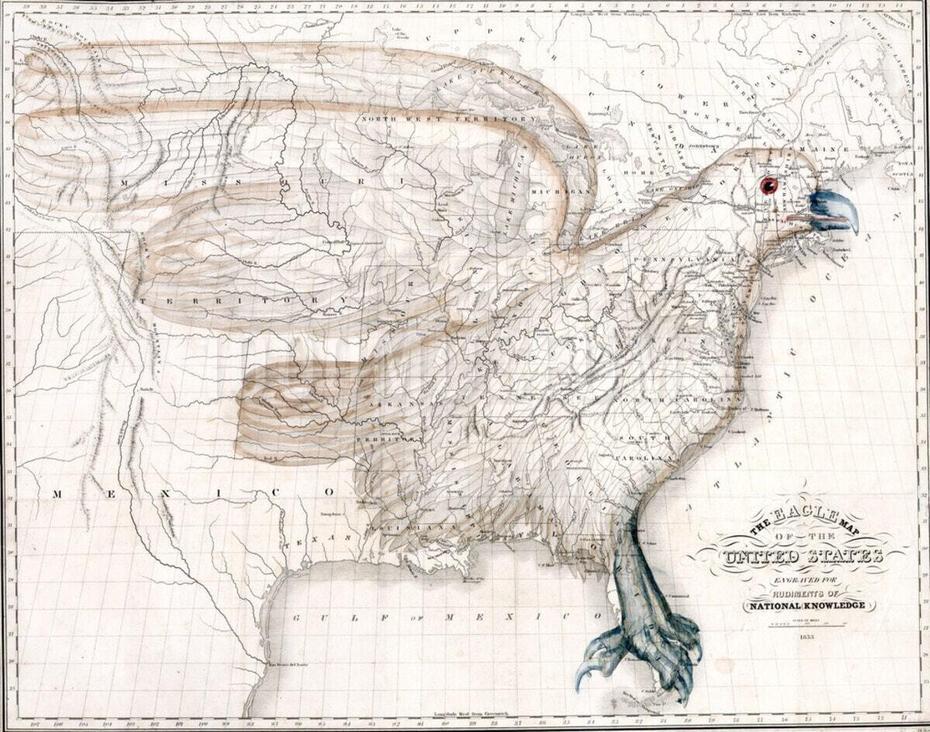 The Eagle Map Of The United States – 1000Museums, Eagle, United States, Eagle With Flag Wings, The Gold Eagle Coin