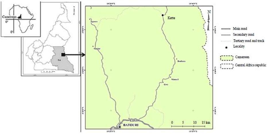 Bamenda Cameroon, Cameroon Ethnic, Concentrations, Batouri, Cameroon