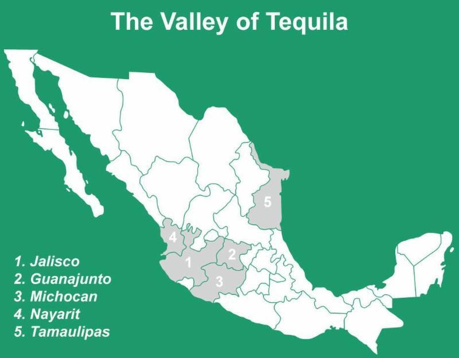 Tequila Guide – Mgm Wine & Spirits, Tequila, Mexico, Riu Tequila Mexico, Tequila City Mexico