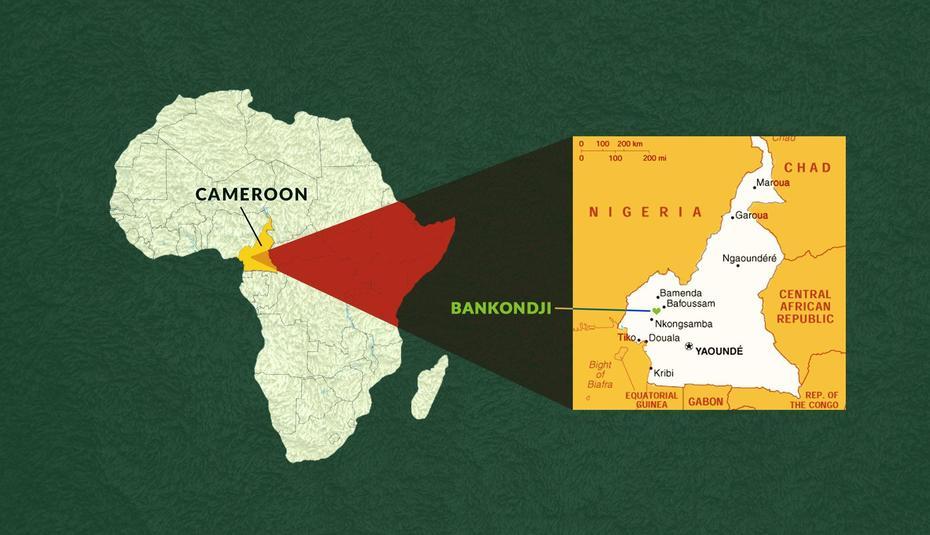 About Cameroon | Aumazo Inc., Bamessi, Cameroon, Cameroon Flag, Cameroon Geography