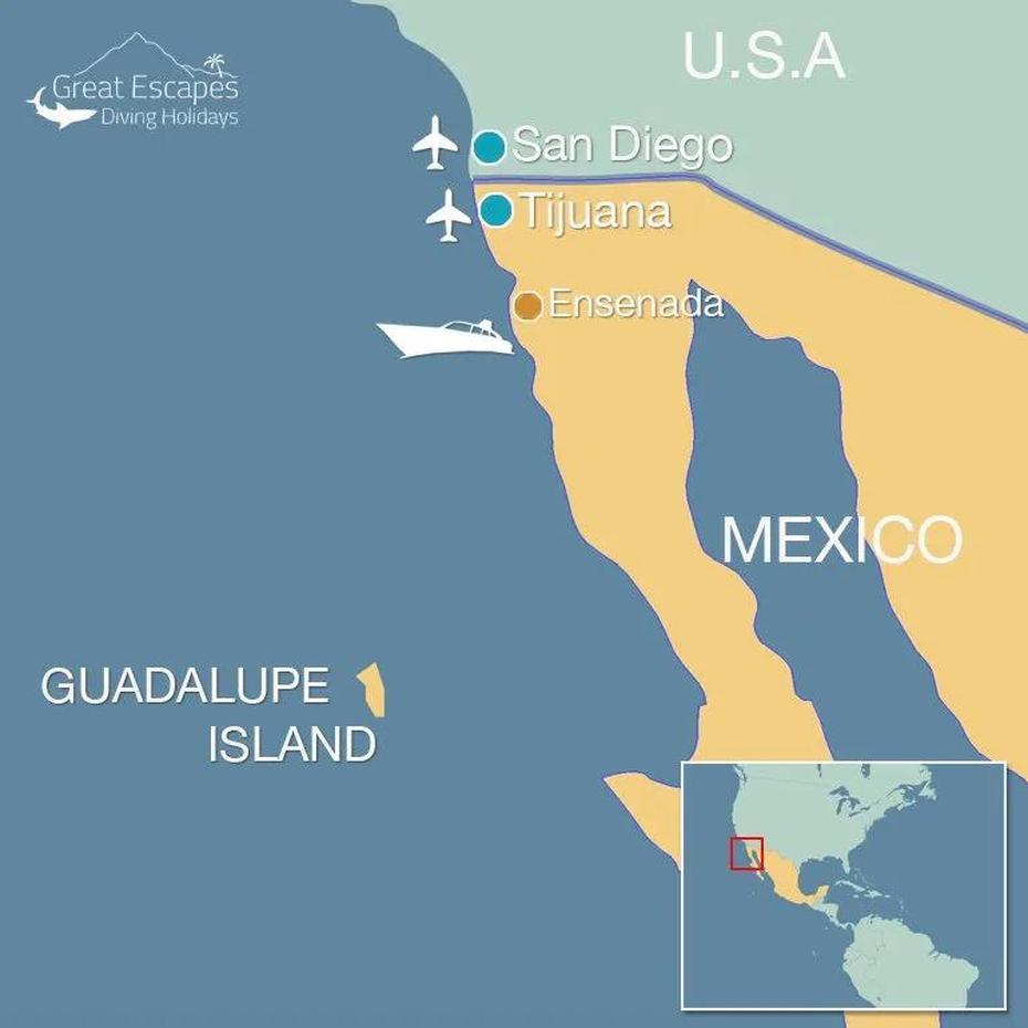 Isla De Guadalupe, Guadalupe Island, , Guadalupe, Mexico