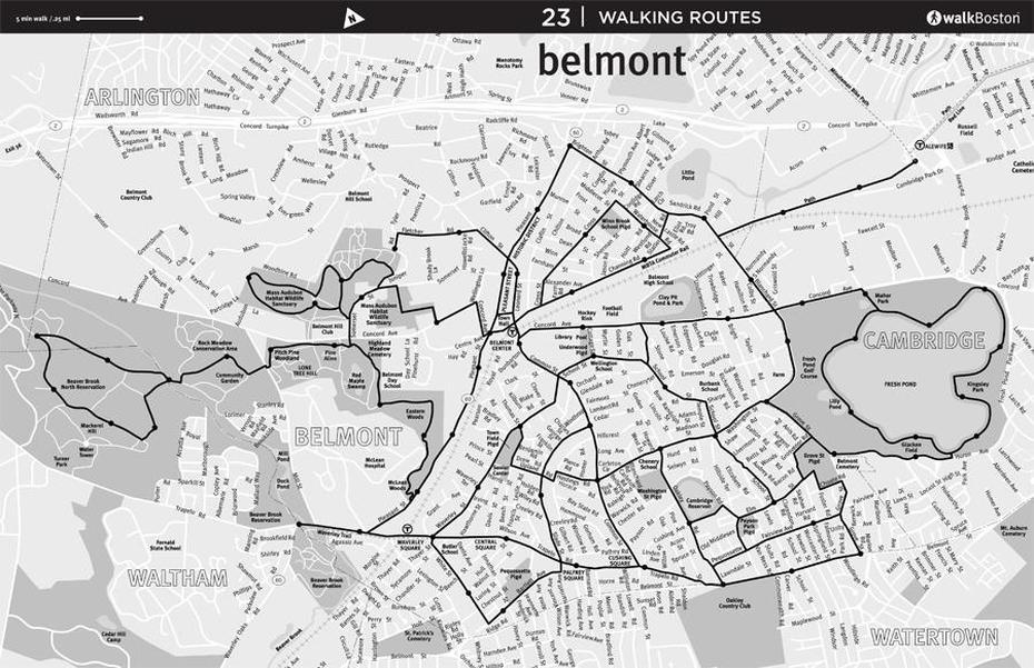 Maps  Belmont Citizens Forum, Belmont, United States, United States World, Basic United States