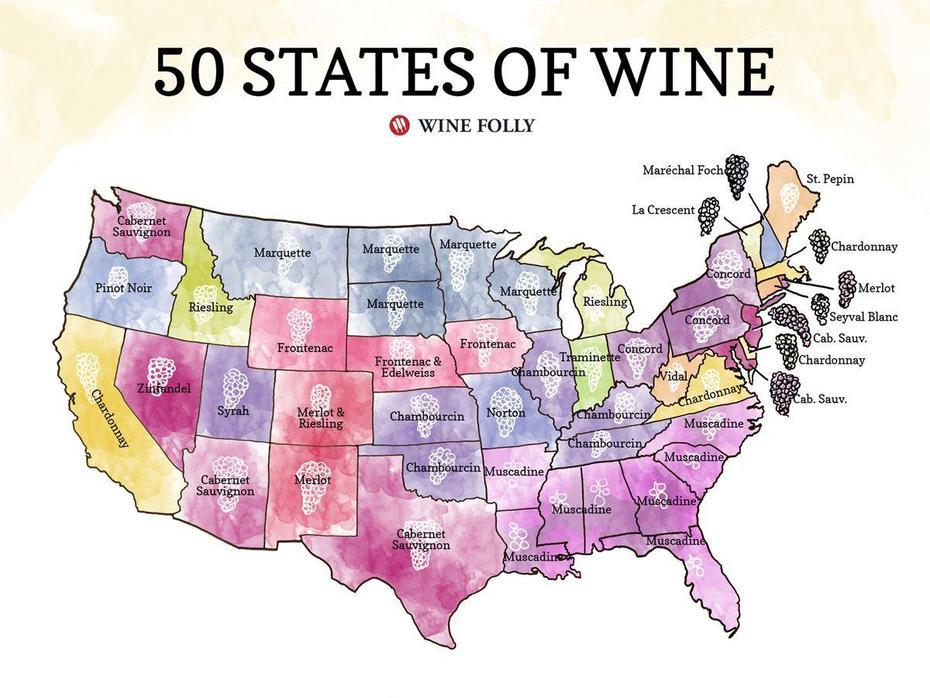 50 States Of Wine (Map | Wine Folly, Wine Map, Growing Wine, Vineyard, United States, United States World, Basic United States