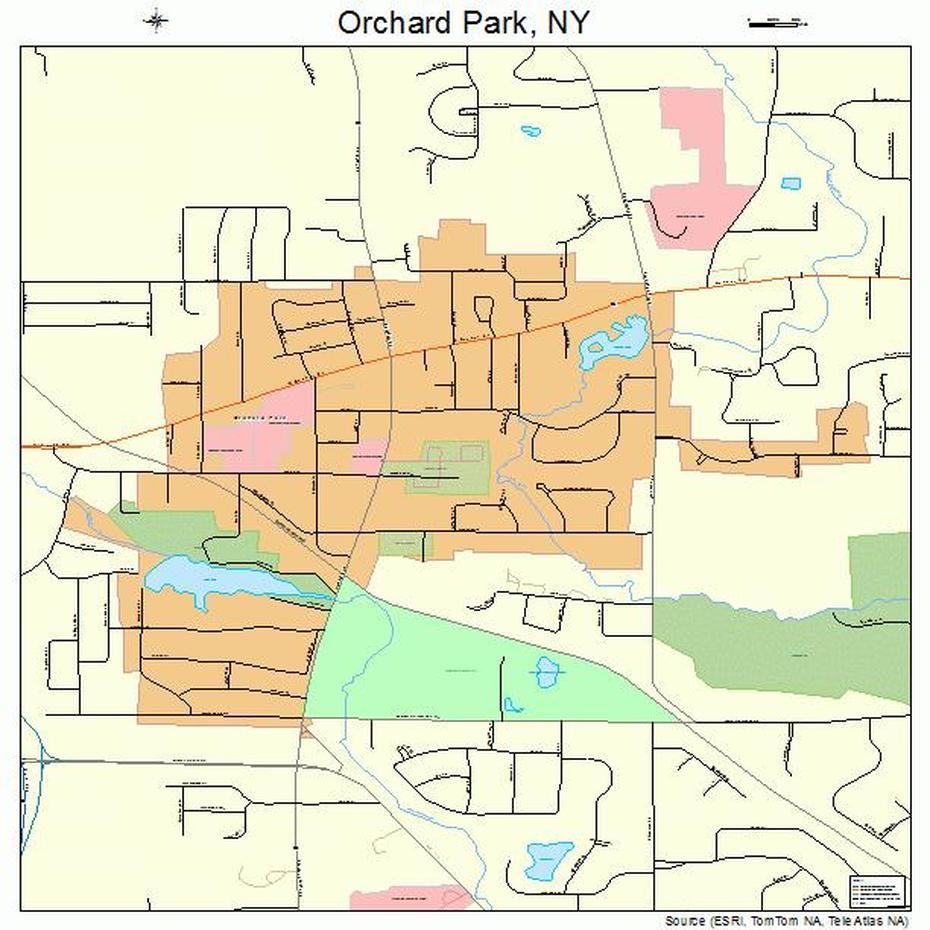 Orchard Park New York Street Map 3655266, Orchard Park, United States, National Park System, American National Parks