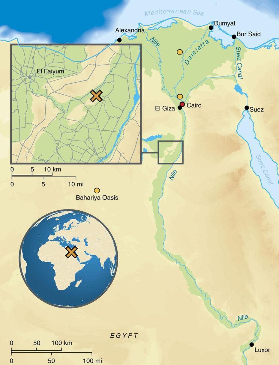 Map Of Egypt Depicting The Location Of The Archaeological Site Abusir …, Qiman Al ‘Arūs, Egypt, Masjid Al Iman, Al Iman Institute