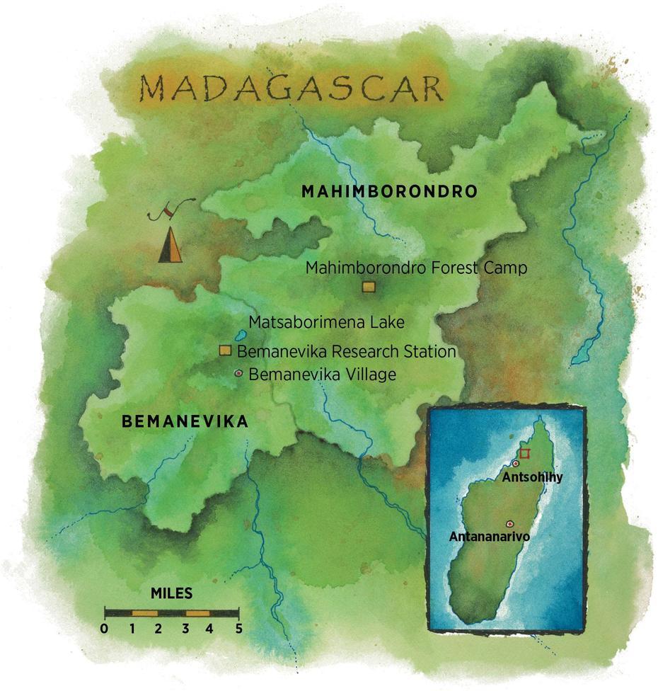 Madagascar Forest, Madagascar River, Scientists Race, Tsaravary, Madagascar