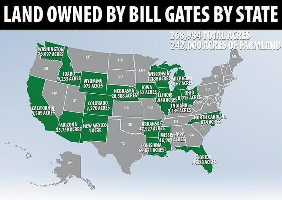 United States  Puzzle, 50 United States, Estados Unidos, Gates, United States