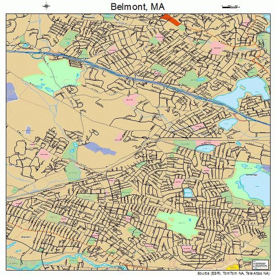 Detailed  United States, United States  Color, Street , Belmont, United States