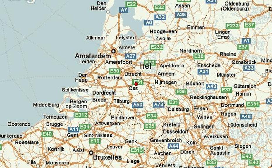 Tiel Location Guide, Tiel, Netherlands, Netherlands Fruit, Tiel Bird