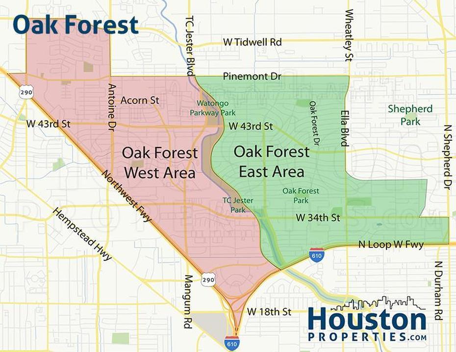 United States Tree, Usa Forest, Guide, Oak Forest, United States