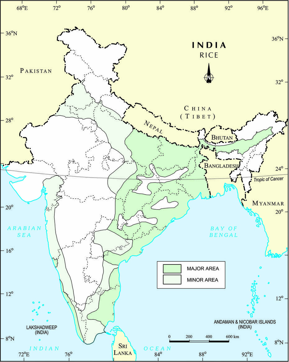 Vellore On India, India Ethnic Groups, Bhuvan, Bhuban, India