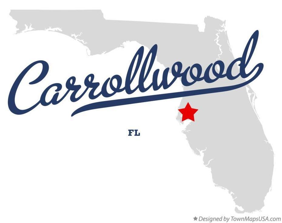 Detailed  United States, United States  Color, Florida, Carrollwood, United States