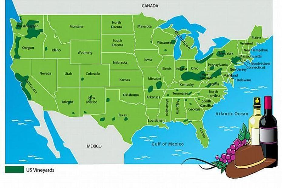 United States  Puzzle, 50 United States, Vino, Vineyard, United States