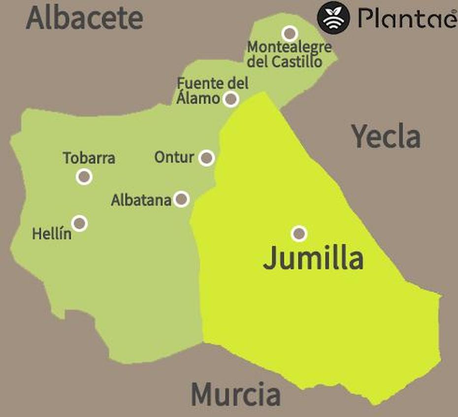 Los Vinos De Jumilla-Denominacion De Origen – Plantae, Jumilla, Spain, Jumilla Wine Region, Pamplona Spain