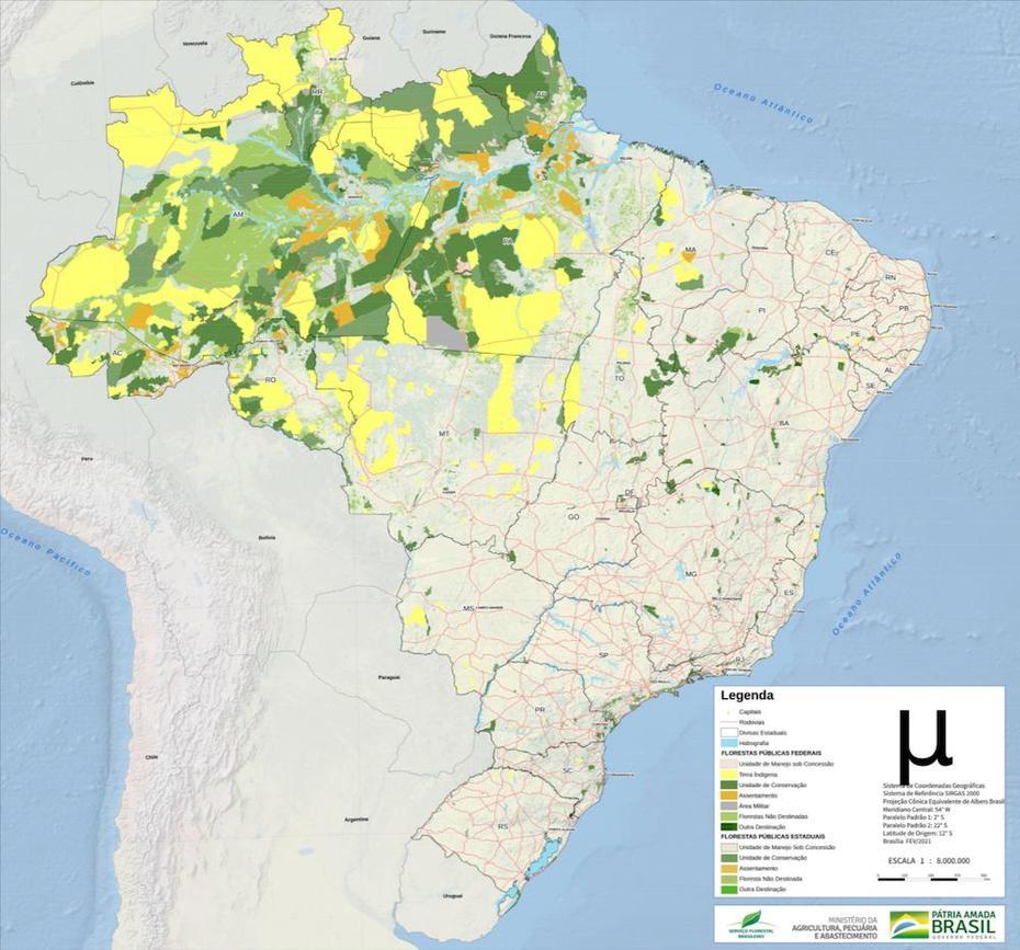 Even If Bolsonaro Leaves Power, Deforestation In Brazil Will Be Hard To …, Floresta, Brazil, Alta Floresta, Mato Grosso Brazil