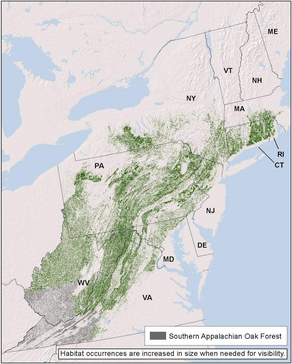 Old Growth Forest, Us  With States, Oak-Pine Habitats, Oak Forest, United States