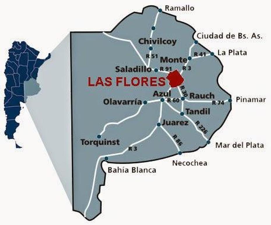 Imagenes De Las Flores Provincia De Buenos Aires, Las Flores, Argentina, Plantas De Flores, Plantas De  Cactus