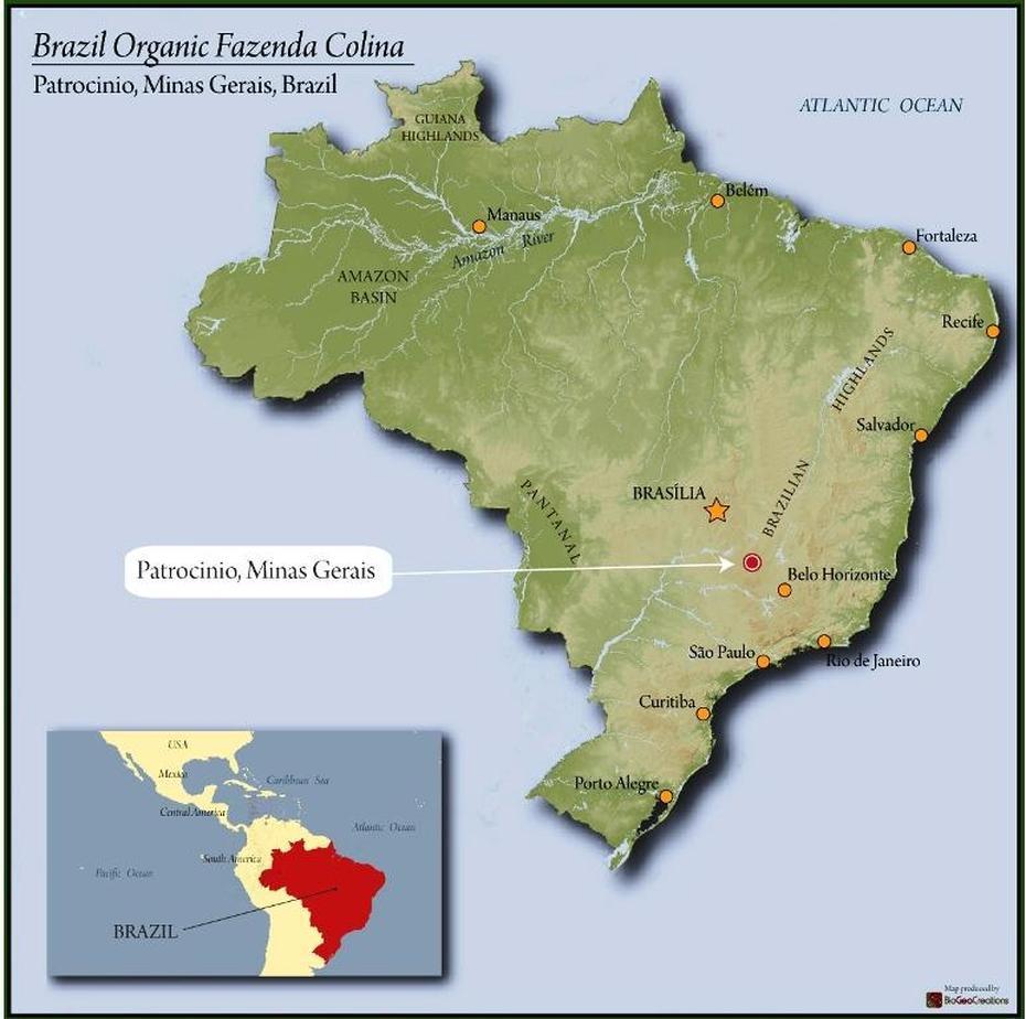 Brazil Organic Cerrado Fazenda Colina (Colina) | Royal Coffee, Colinas, Brazil, Brazil  Clip Art, Rivers Of Brazil