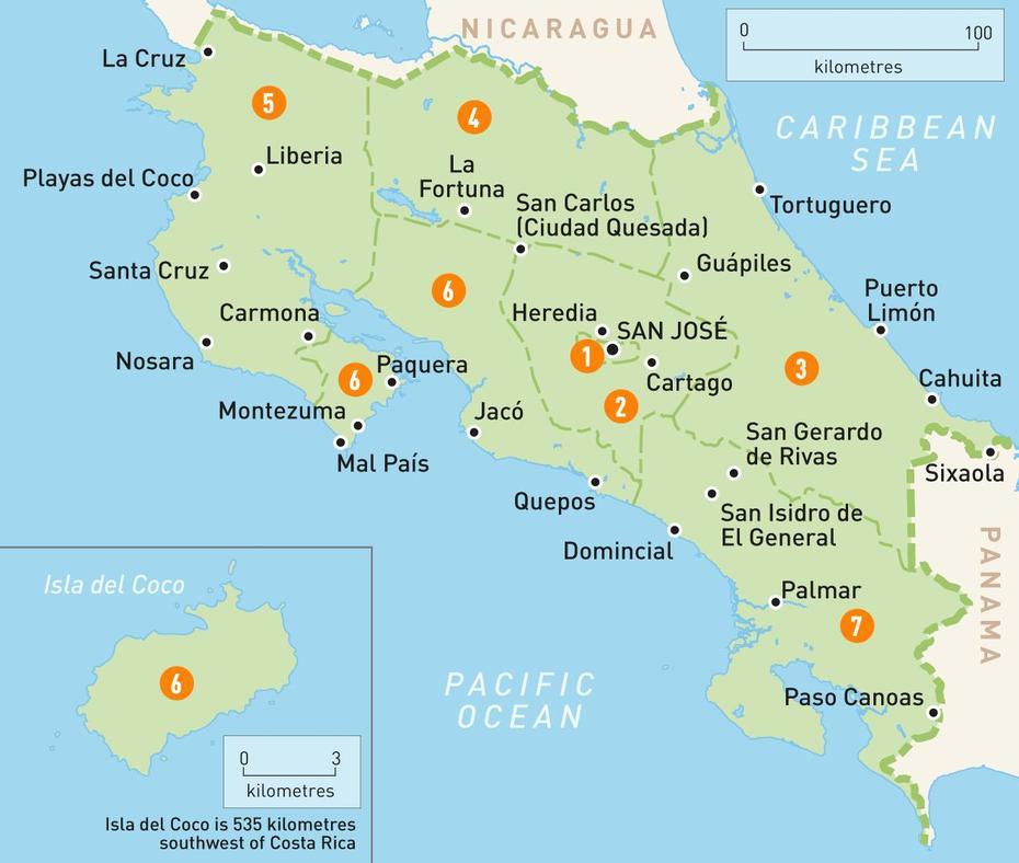 Platanillo Costa Rica, Tinamastes Costa Rica, Costa Rica, Cariari, Costa Rica