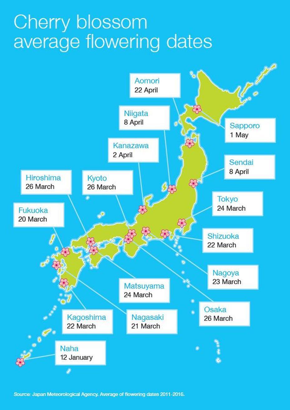 Japanese Cherry Blossom Seasons, Date, Japan, Date Clan, Japanese Dates