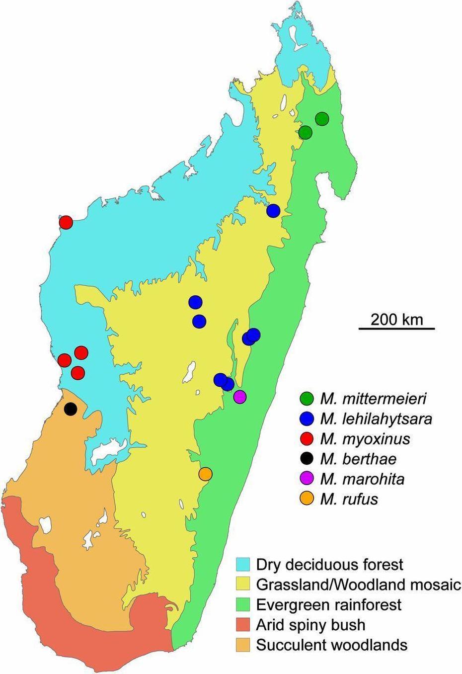 Madagaskar Tropikalny Las – Mapa Madagaskaru Tropikalny (Wschodnia …, Andranomavo, Madagascar, Madagascar On Africa, Madagascar Forest