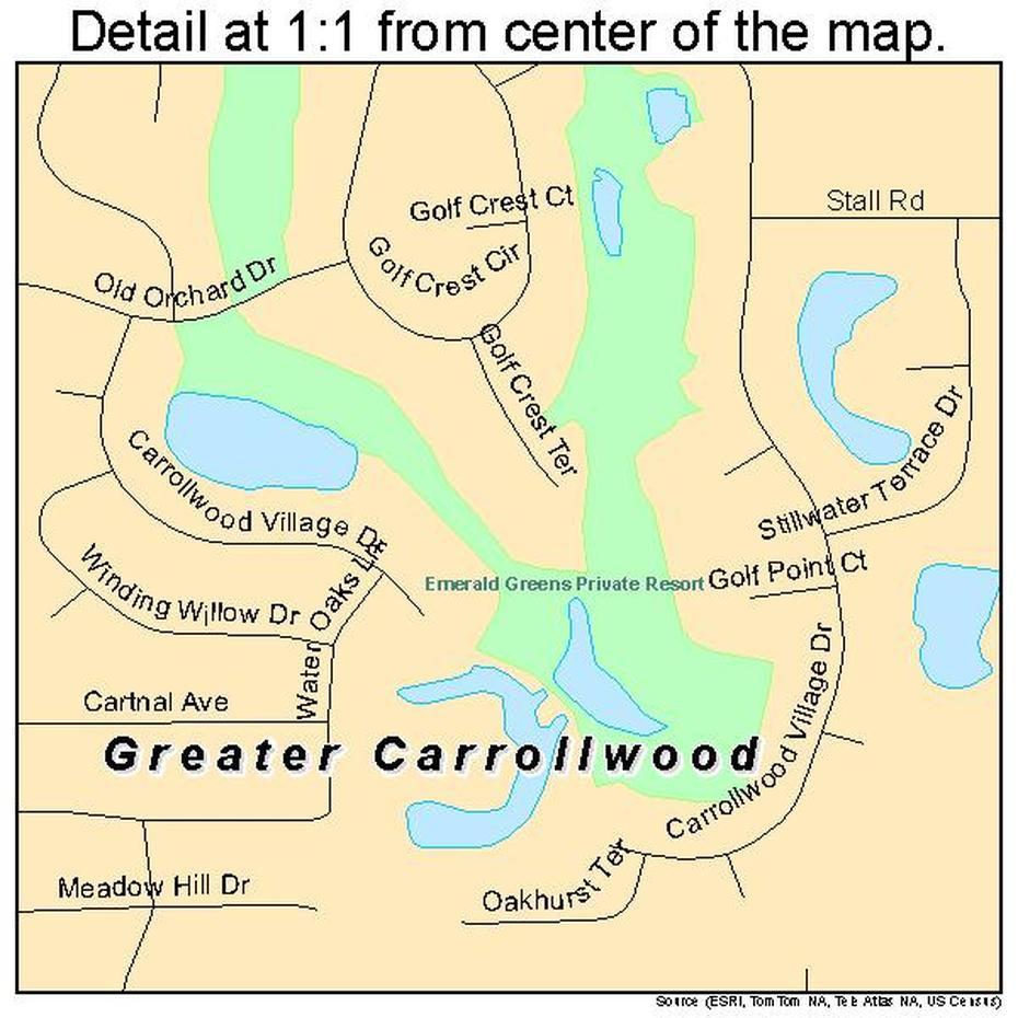 Greater Carrollwood Florida Street Map 1227313, Carrollwood, United States, United States World, Basic United States