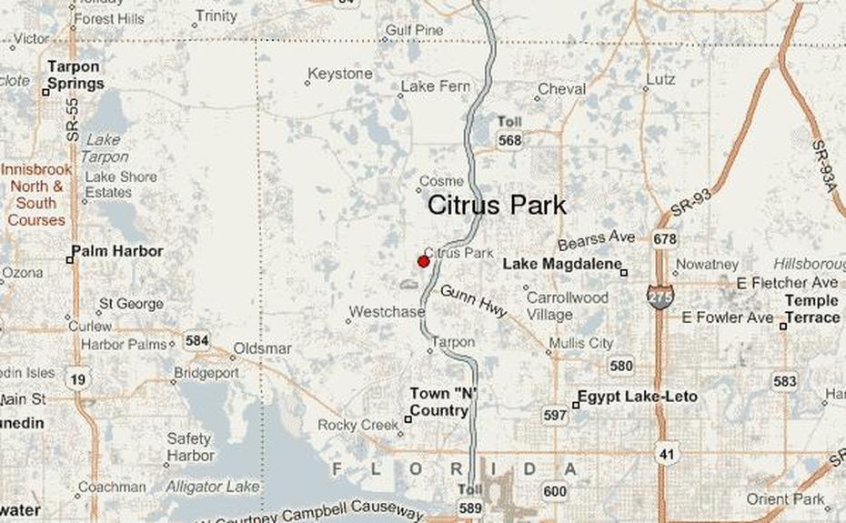 United States City  Usa, Are United States, Citrus Park, Citrus Park, United States