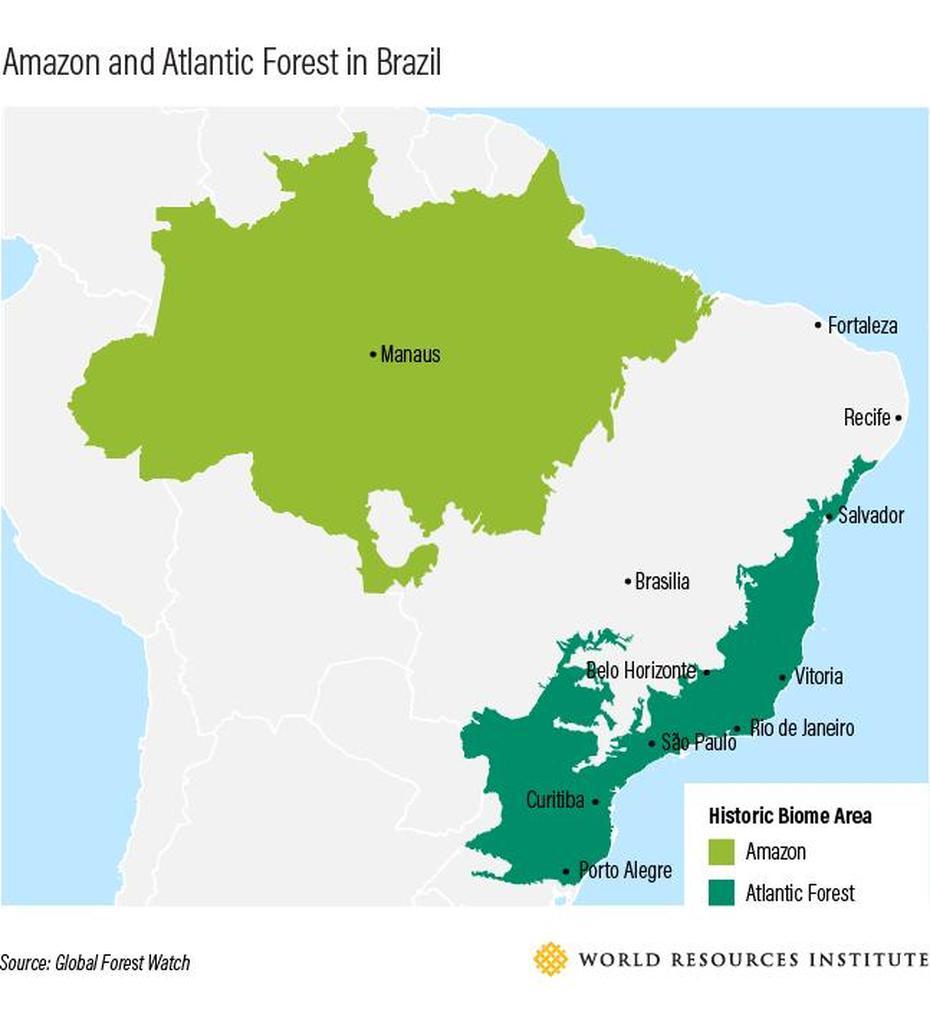 Um Conto De Duas Cidades Brasileiras (E As Florestas Que As Conectam …, Floresta, Brazil, Floresta Da Tijuca, Hotel Floresta