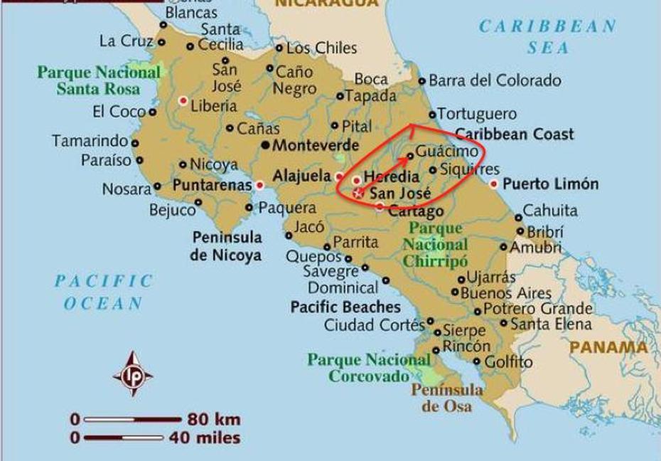 Trip Uno To Guacimo | Gapcostarica, Guácimo, Costa Rica, Atenas Costa Rica, Ojochal Costa Rica