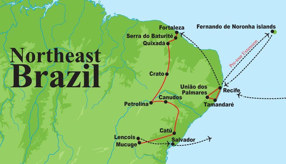 B”Brazil Birding Tour With Field Guides: The Northeast & Lears Macaw”, Braço Do Norte, Brazil, Braço Do Norte, Brazil