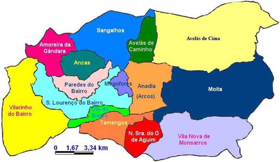 Anadia Sem Gente: Juntas Desconhecem Mas Estao Contra, Anadia, Portugal, Mealhada Portugal, Aveiro Portugal