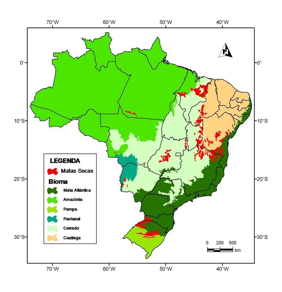 Mato Grosso Brazil, Alta Floresta Brazil, Earth Week, Floresta, Brazil