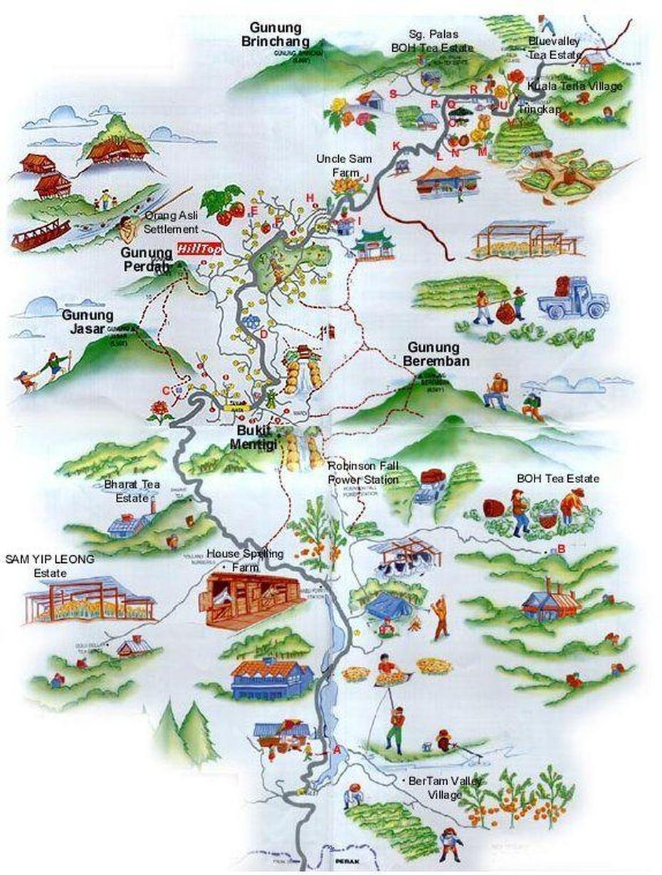 Cameron Highlands Map | Cameron Highlands, Malaysia Travel, Tourist Map, Cameron Highlands, Malaysia, Ipoh Malaysia, Mossy Forest Malaysia