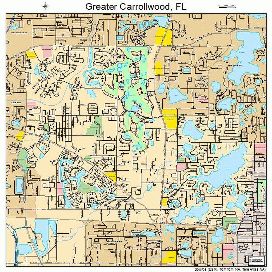 Greater Carrollwood Florida Street Map 1227313, Carrollwood, United States, United States  Simple, Cool United States
