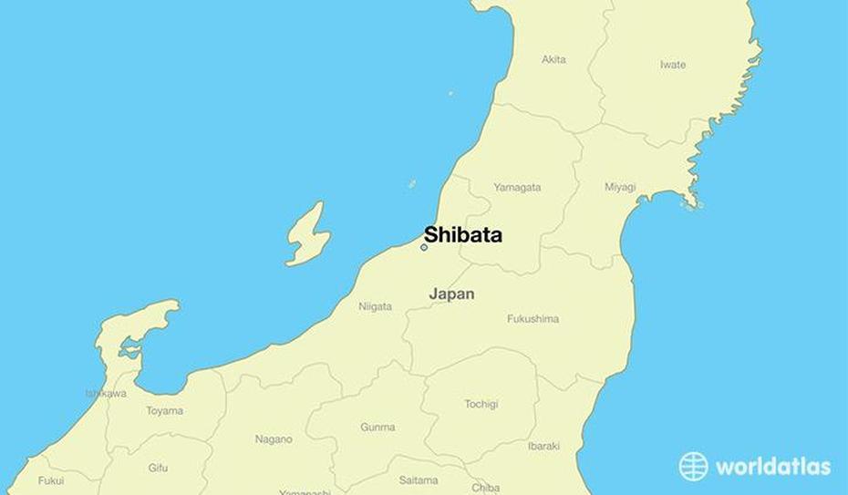 Shibata Zeshin, Katsuyori Shibata, Japan, Shibata, Japan