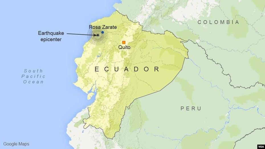 Cultivo De Rosas, Ecuador, Injure, Rosa Zarate, Ecuador