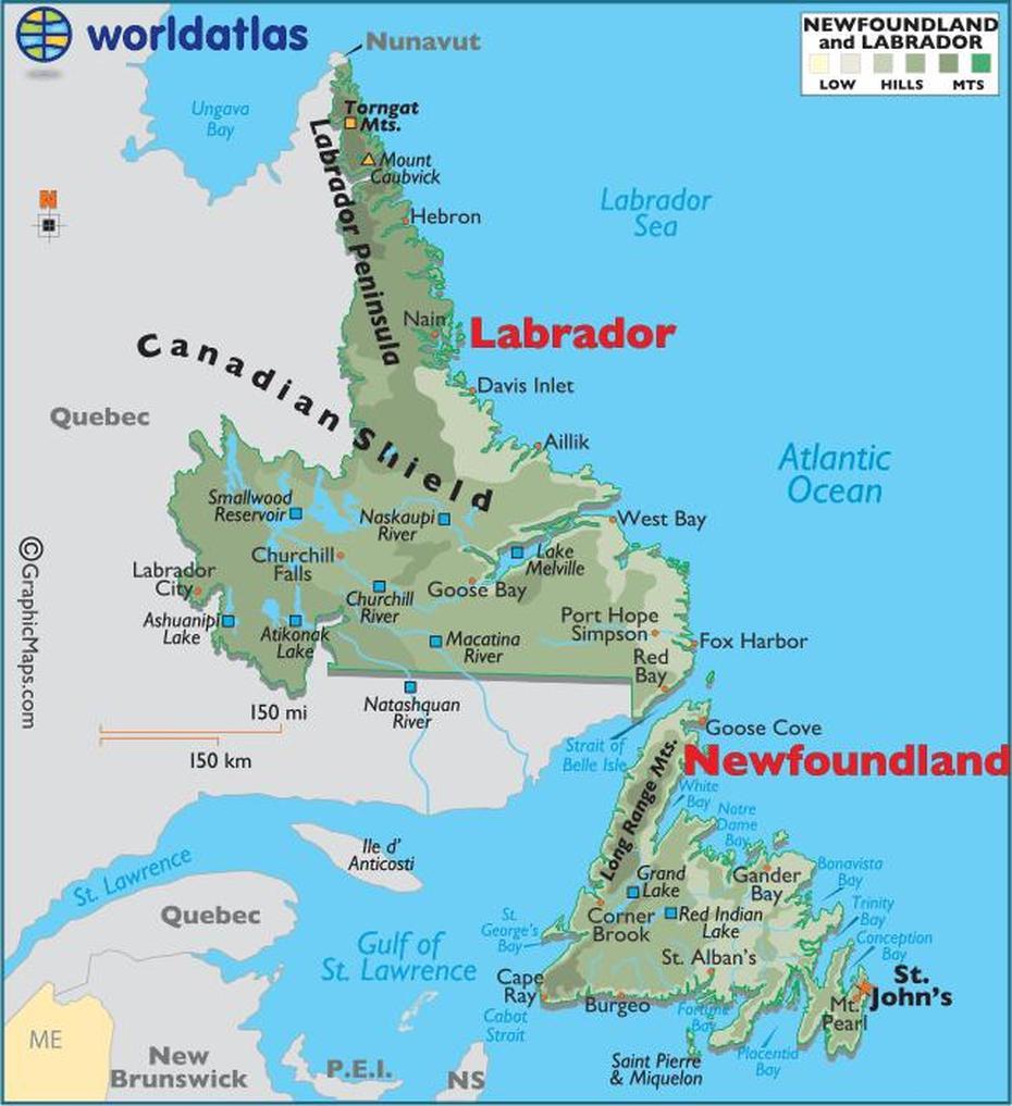 William Iii Awards Joseph De La Penha Land Grant To Labrador Region …, Labrador, Philippines, Labrador City, Yellow Labrador Puppy