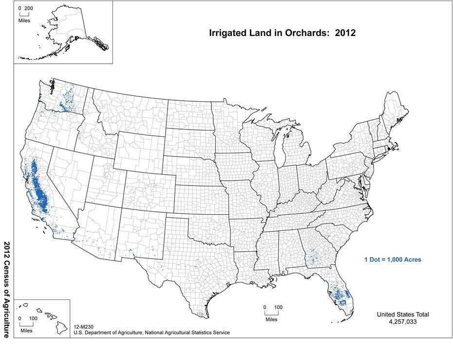 United States  Puzzle, 50 United States, Irrigated Land, Orchards, United States