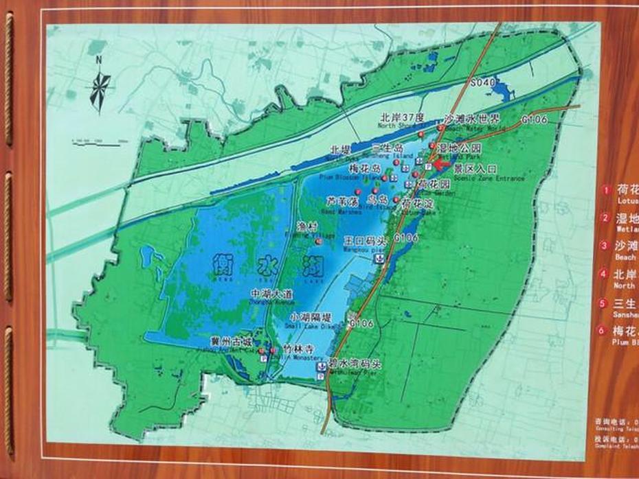 Baers Pochard: Cause For Optimism? – Eaaflyway, Hengshui, China, Qinhuangdao China, Tianjin China