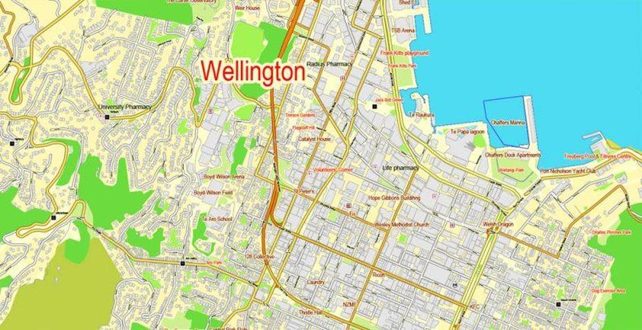 Pdf Map Wellington, New Zealand, Exact Printable Vector Street City Plan, Wellington, New Zealand, Wellington Australia, Wellington Harbour