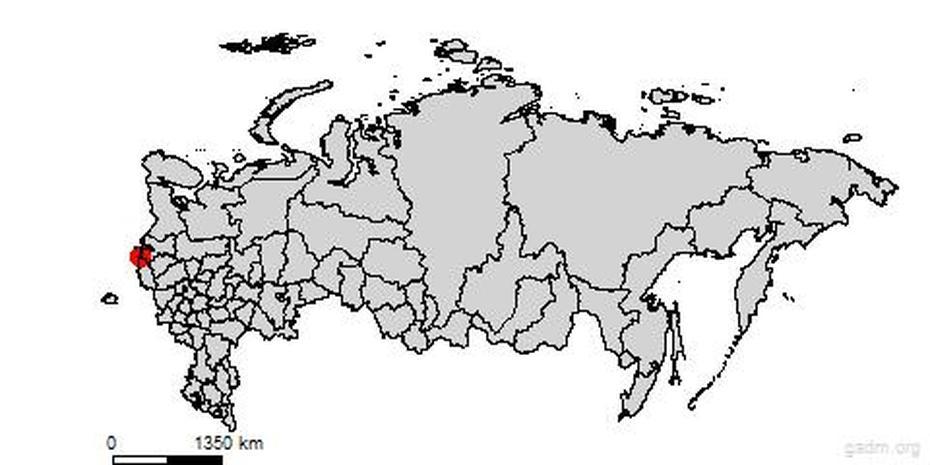 Gadm, Slantsy, Russia, Russia  With Countries, Western Russia