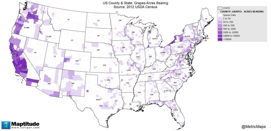 Wine Country: Where America Grows Grapes : Mapsofamerica, Vineyard, United States, United States  Color, United States  With City