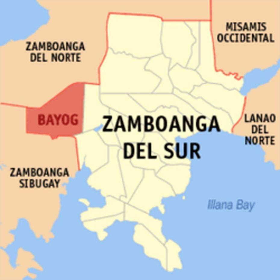 Bayog Tree, Bayog Kawayan, Socio-Economic Profile, Bayog, Philippines
