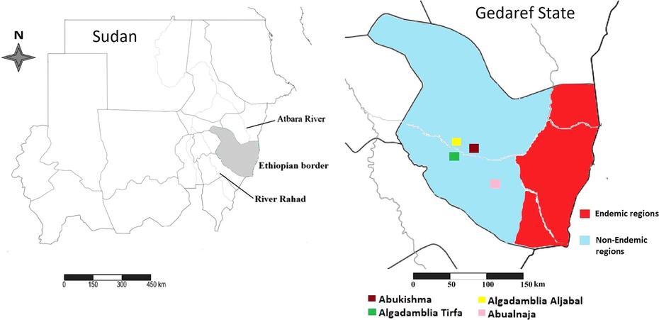 Kassala Sudan, Sudan States, Asymptomatic Leishmania, Gedaref, Sudan