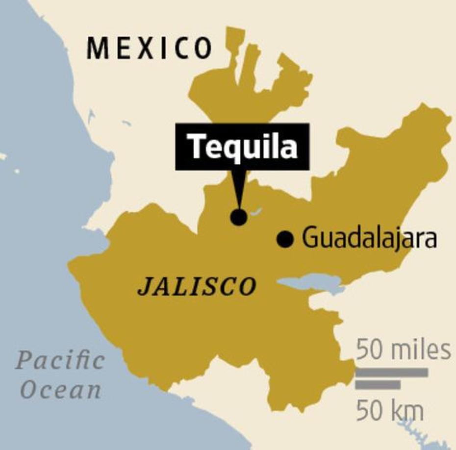 Tequila Regions, Riu Tequila Resort, Mexico, Tequila, Mexico