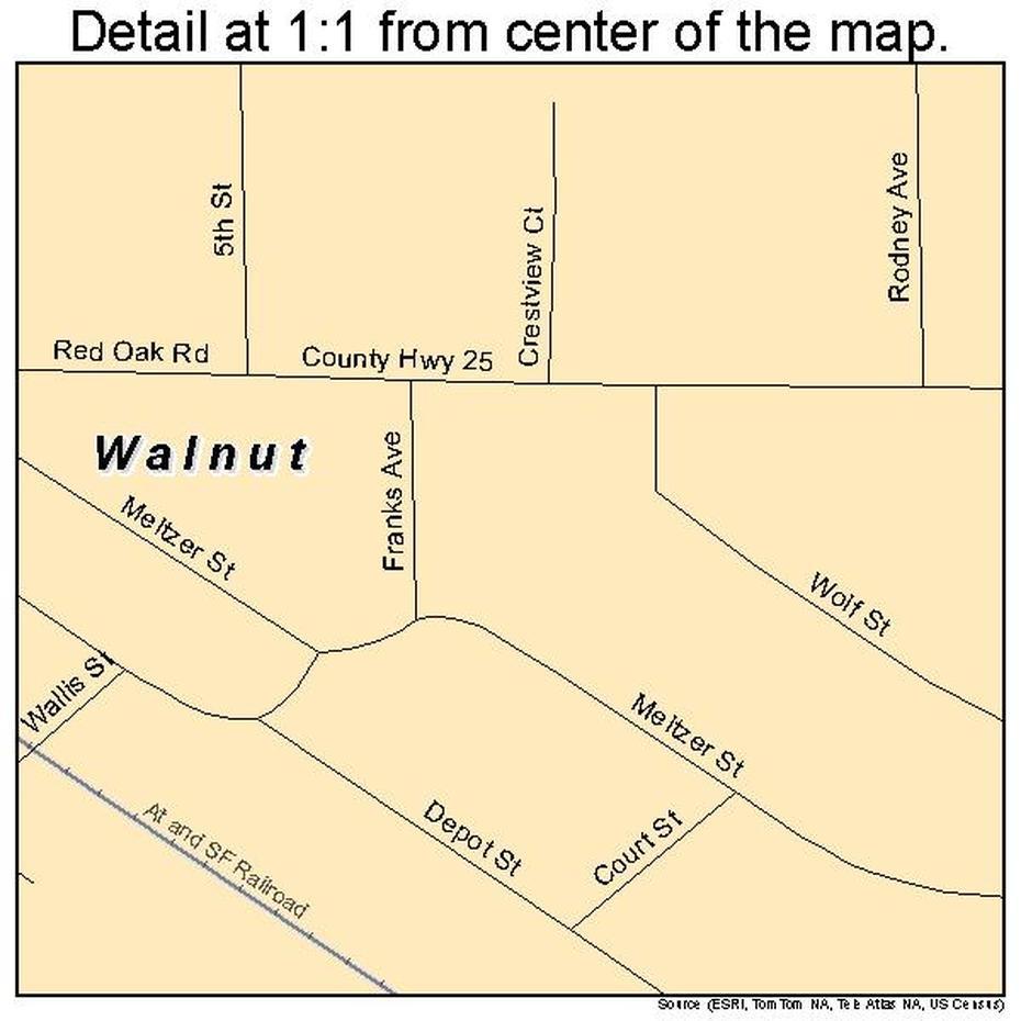 Walnut Illinois Street Map 1778526, Walnut, United States, United States World, Basic United States