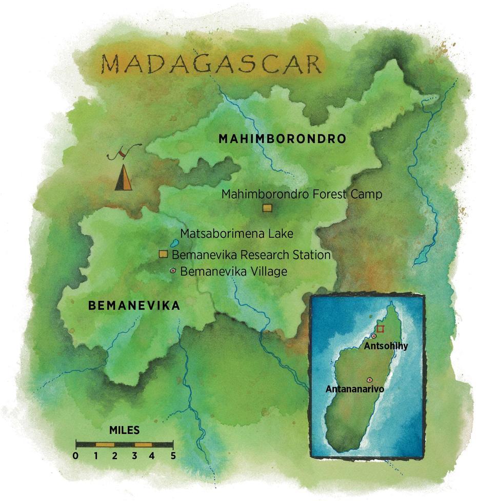 Madagascar Rainforest, Madagascar Towns, Scientists Race, Marolambo, Madagascar