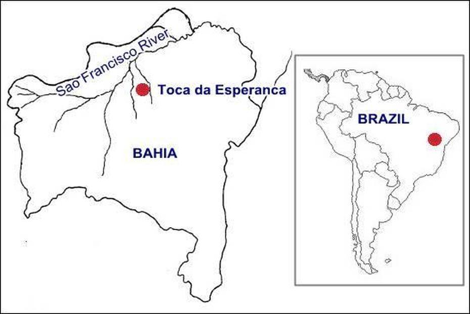 H. Erectus In Brazil: Toca Da Esperanca Site | Patagonian Monsters, Esperança, Brazil, Grilo, Imagem  De Deus